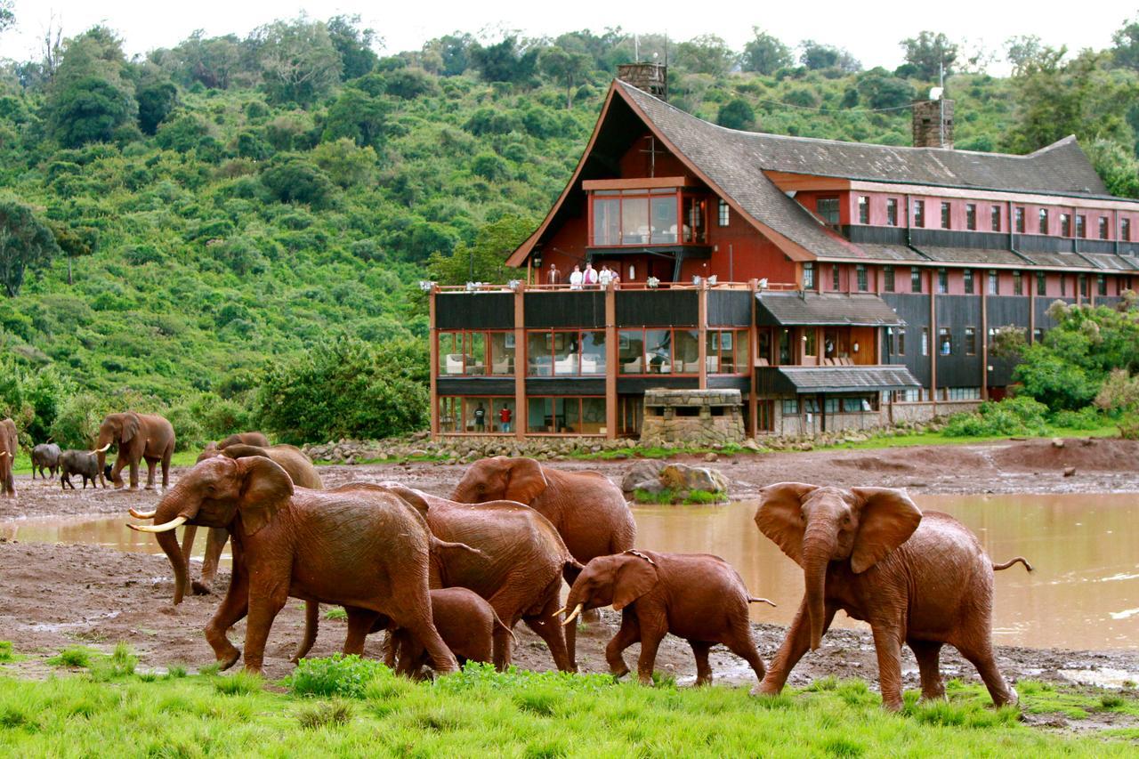 The Ark Lodge Nyeri Exterior foto